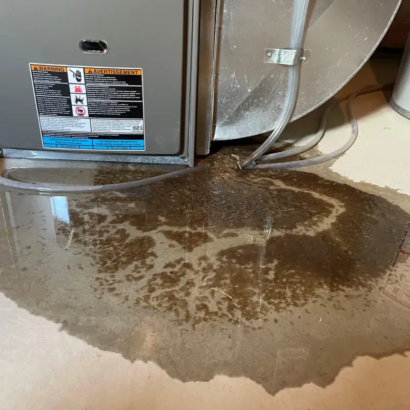 Appliance Leak Cleanup in Logan County, KY