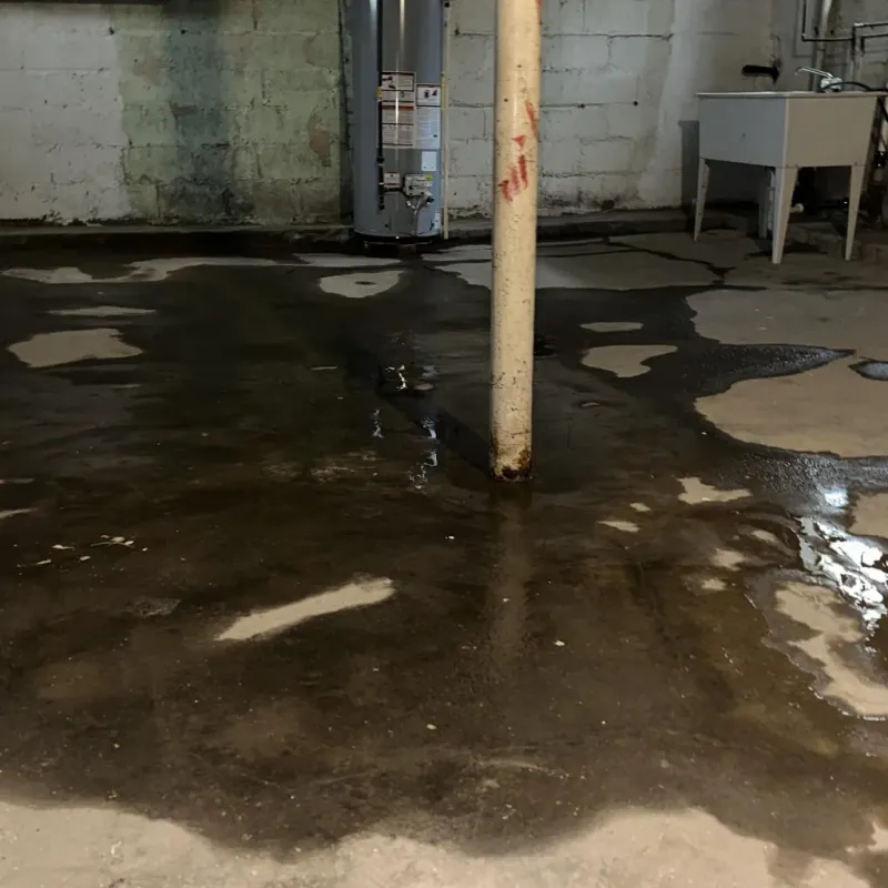 Emergency Water Extraction And Removal in Logan County, KY